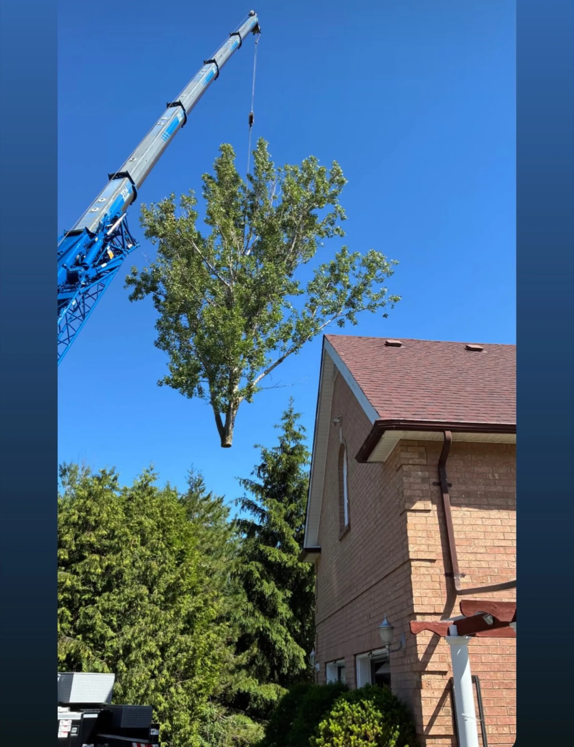 Crane lifting a tree section clear of a house roof
